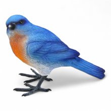 Vogel