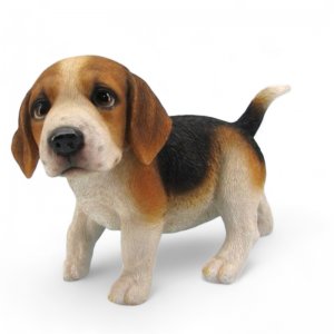 Beagle stehend