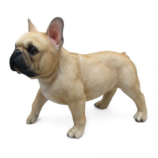 Franz. Bulldogge stehend - zum Schließen ins Bild klicken