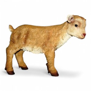 Ziegenbaby stehend