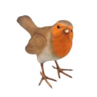 Vogel