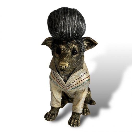 Rock and roll Hund - zum Schließen ins Bild klicken