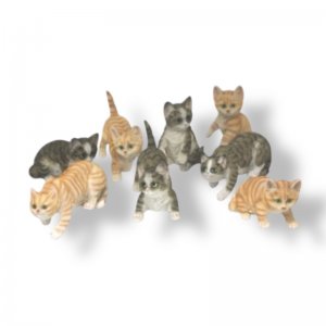 Katzen 8 tlg. Set