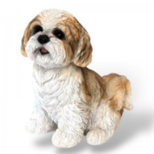 Shi Tzu Welpe sitzend