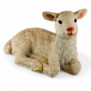 Lamm liegend