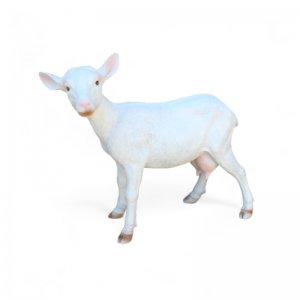 Ziege stehend weiss