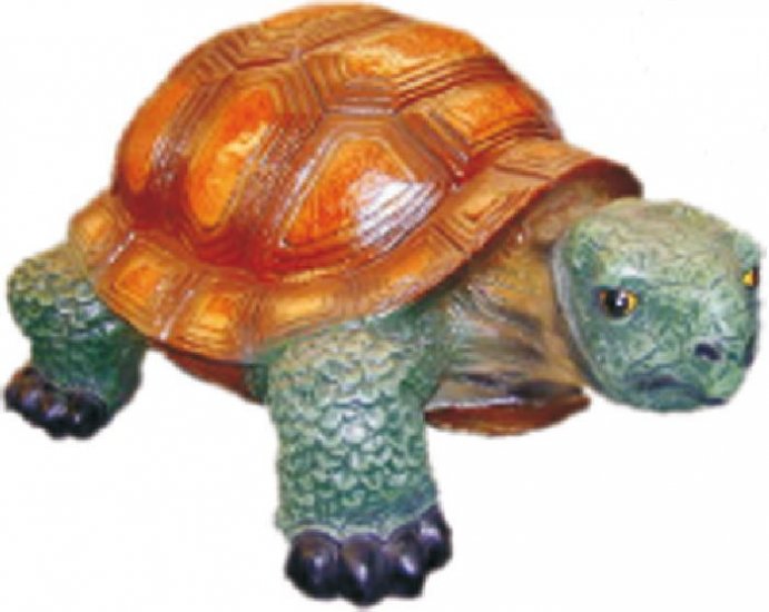 Schildkröte - zum Schließen ins Bild klicken