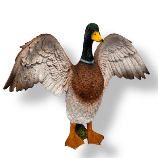 Ente - zum Schließen ins Bild klicken