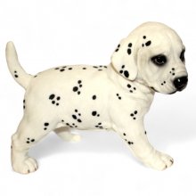 Hundewelpe Dalmatiner