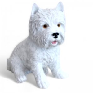Westie sitzend