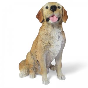Golden Retriever sitzend