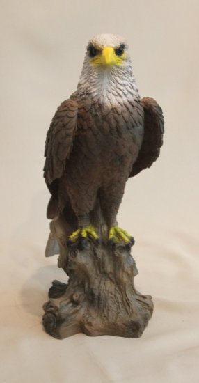Adler auf Stamm - zum Schließen ins Bild klicken