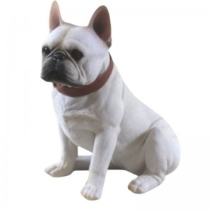 Franz. Bulldogge sitzend