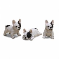 Bulldogge-Welpen, 3-er Set