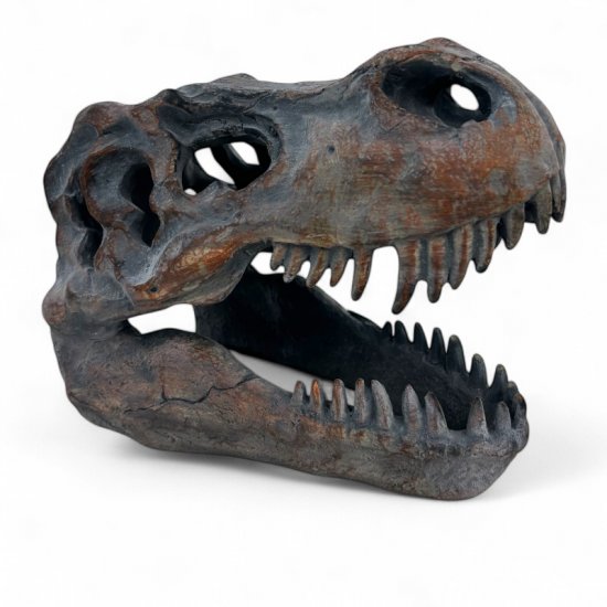 Dinokopf - zum Schließen ins Bild klicken