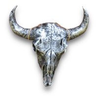 Büffelschädel Kordel