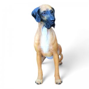 Deutsche Dogge beige