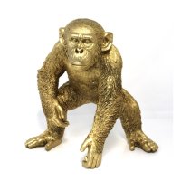 Schimpanse gold