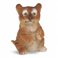 Tigerbaby sitzend