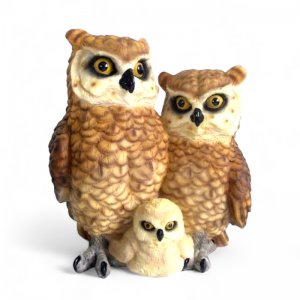 Eule Familie