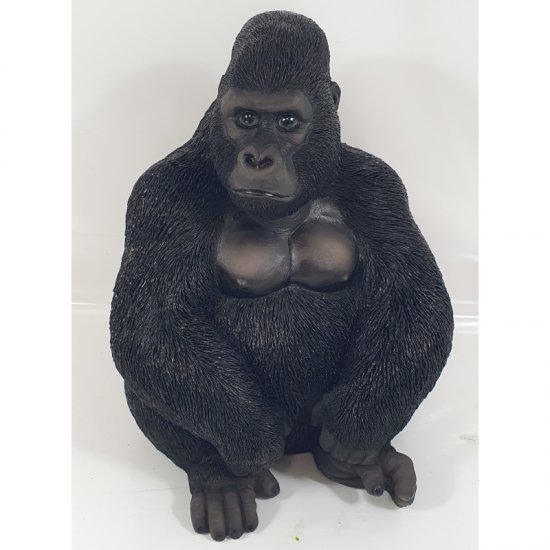 Gorilla sitzend - zum Schließen ins Bild klicken