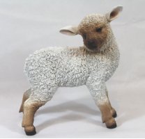 Schaf stehend-03366