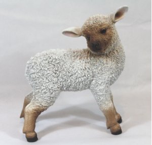 Schaf stehend-03366