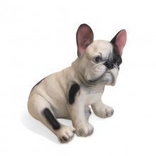 Franz. Bulldogge sitzend