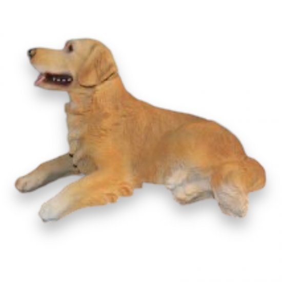 Golden Retriever liegend - zum Schließen ins Bild klicken