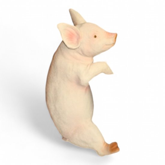 Schwein hängend - zum Schließen ins Bild klicken