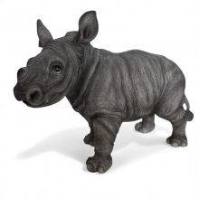 Nashornbaby