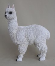Alpaka weiß, H 80cm