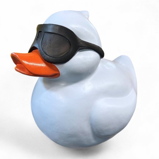 Ente mit Brille - zum Schließen ins Bild klicken