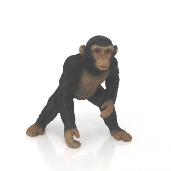 Schimpanse klein - zum Schließen ins Bild klicken
