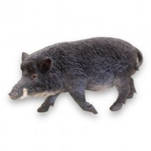 Wildschwein