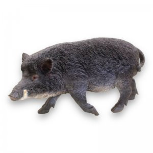 Wildschwein