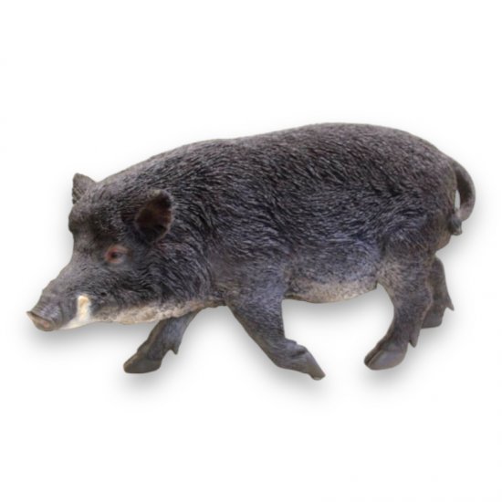 Wildschwein - zum Schließen ins Bild klicken