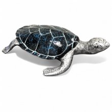 Schildkröte