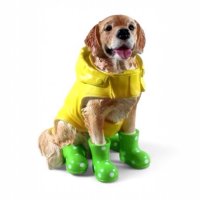 Hund Mantel Stiefel grün