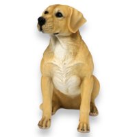 Hund, Labrador sitzend