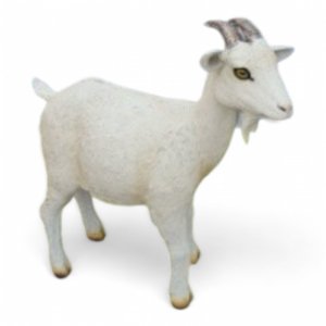 Ziegenbock