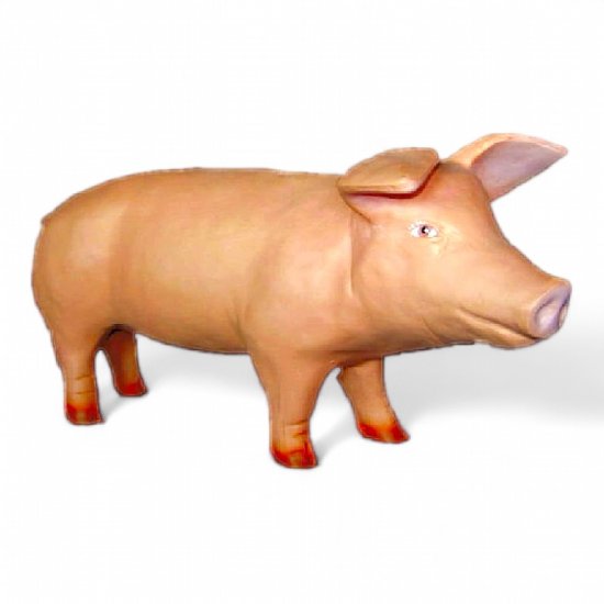 Ferkel Kopf links - zum Schließen ins Bild klicken