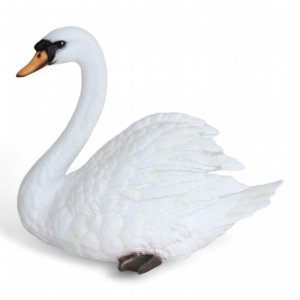 Schwan