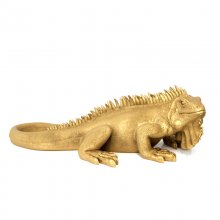 Leguan gold