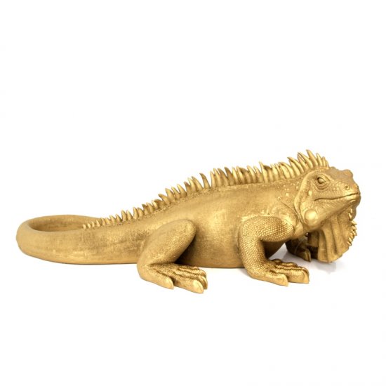 Leguan gold - zum Schließen ins Bild klicken