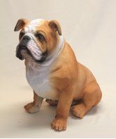 Bulldogge sitzend
