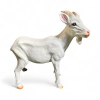 Ziegenbock stehend weiss