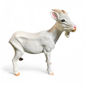 Ziegenbock stehend weiss