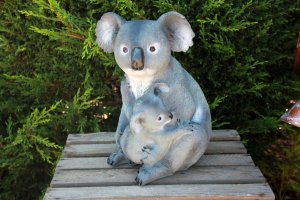Koala mit Jungen