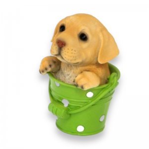 Labrador im Eimer